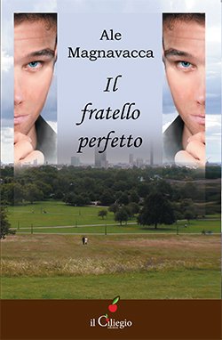 Il fratello perfetto