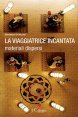 La viaggiatrice incantata